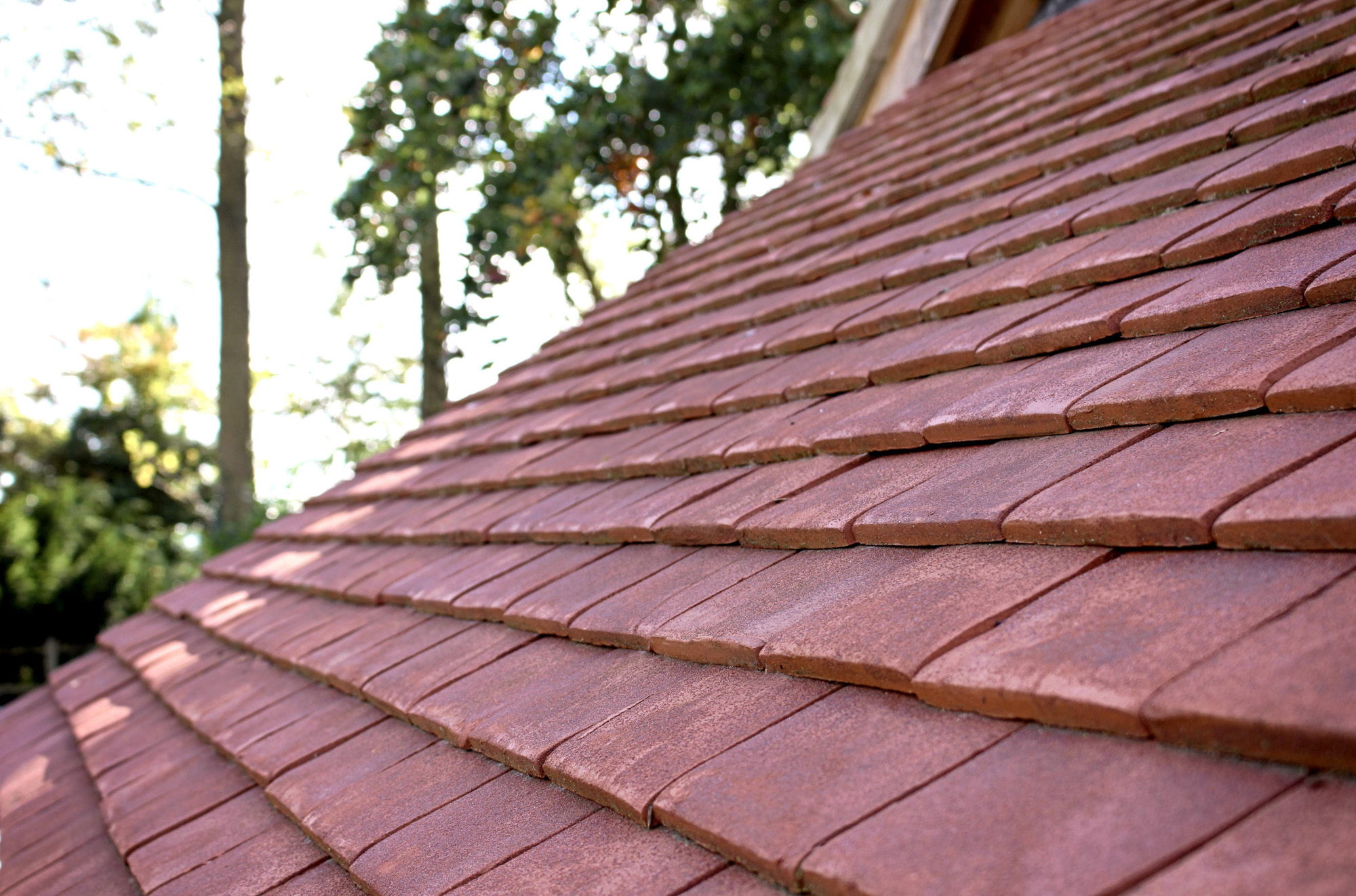 Red Tile Roof.jpg